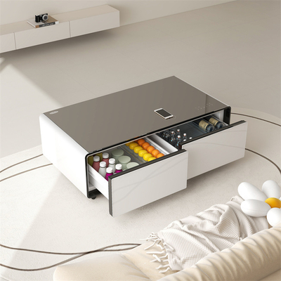 Multifunctional Refrigerator with Refrigerated Drawer Cabinet Coffee Table Fridge