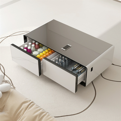 Multifunctional Refrigerator with Refrigerated Drawer Cabinet Coffee Table Fridge