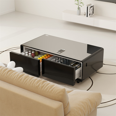 Multifunctional Refrigerator with Refrigerated Drawer Cabinet Coffee Table Fridge