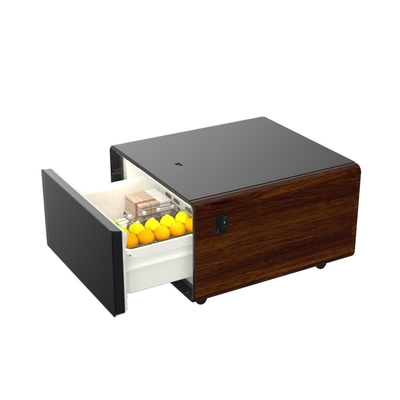 2024 Table A Must-Have for Modern Homes Multifunctional Refrigerator and Coffee Table