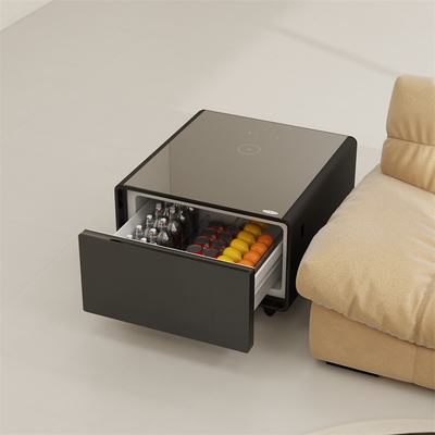 2024 Table A Must-Have for Modern Homes Multifunctional Refrigerator and Coffee Table