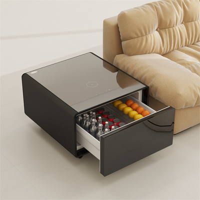 2024 Table A Must-Have for Modern Homes Multifunctional Refrigerator and Coffee Table
