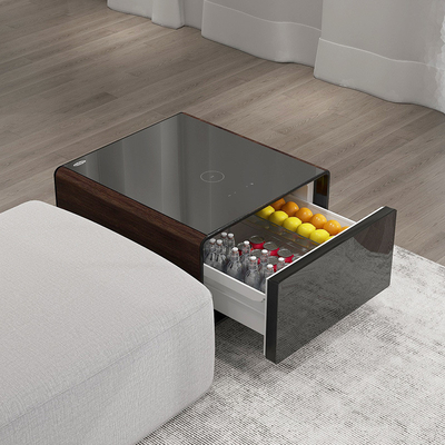 2024 Table A Must-Have for Modern Homes Multifunctional Refrigerator and Coffee Table
